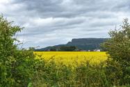 View of Binevenagh from the Roe Valley